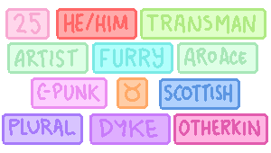 pixel art text boxes with information about lostwood.
			left to right, top to bottom: 25 years old. he/him. trans man. artist. furry. aro ace. cripple punk. taurus. scottish. plural. dyke. otherkin.